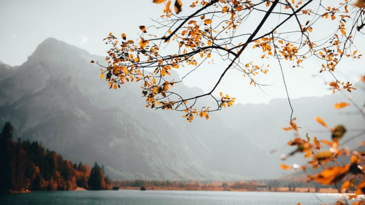 Top 100 background Macbook đẹp, thu hút, chất lượng nhất